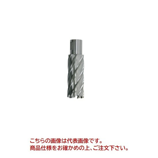 【ポイント5倍】【直送品】 育良精機 ライトボーラー用替刃 HRSQ220 (51124) 【法人向け・個人宅配送不..