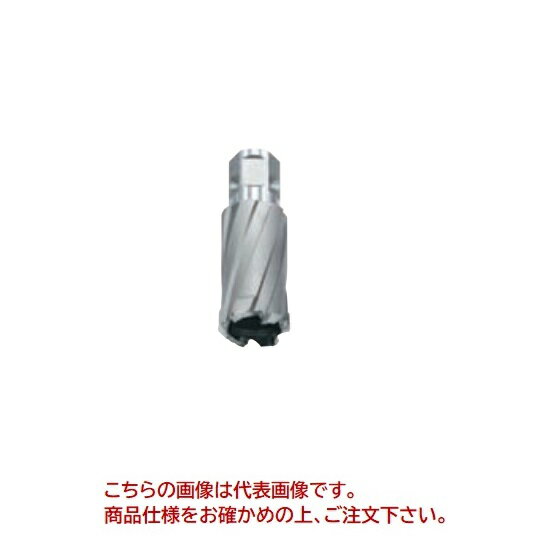 【ポイント10倍】【直送品】 育良精機 特注ボアアップカッター ISK-BUC205D (54530) 【受注生産品】【法人向け・個人宅配送不可】