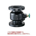 【ポイント10倍】【直送品】 イシザキ スモレンスキ チャッキバルブ 鋳鉄製 SM 10K 80A (SM-106) 【大型】(4)