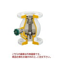 【ポイント5倍】【直送品】 イシザキ スモレンスキ チャッキバルブ ナイロンコート SMTC 20K 150A (SMTC-209) 【受注生産品】 【特大・送...