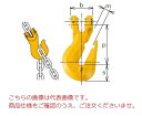 【ポイント5倍】【直送品】 キトー グラブフック VGG13 《キトーチェンスリング100【カナグ部材】(ピンタイプ)》(4)