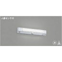 【ポイント5倍】【直送品】 コイズミ照明 ユニット AE52199 【送料別】