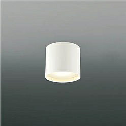 【直送品】 コイズミ照明 防雨防湿型シーリング AU54789 【送料別】