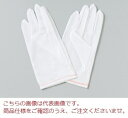 【ポイント10倍】ウインセス 防塵手袋 サイズL 10双入 6007-L (104-73803)(3)