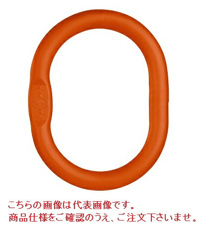 コンドーテック ペワッグ 大型マスターリンク M8W10 (035ZPM8W10) (アイタイプ)