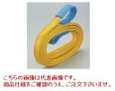 コンドーテック ハイパワースリング IVE形(KP1-4) KP1-4 100X1M (IVE-100-1M) (両アイタイプ)
