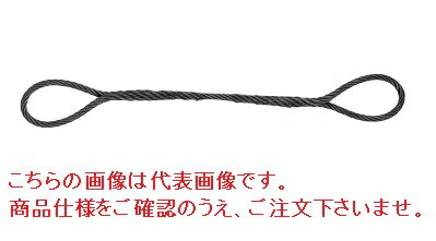 《仕様》●長さ：1m●ロープ径：9mm●重量：0.58kg《特長》●JIS規格ワイヤロープを使用！●玉掛作業等、重量物の吊り上げに！《仕様》●長さ：1m●ロープ径：9mm●重量：0.58kg《特長》●JIS規格ワイヤロープを使用！●玉掛作業等、重量物の吊り上げに！