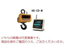 【ポイント5倍】【直送品】 クボタ クレーンスケール(無線式指示計付) HS-CD-W-12 (HS-CD-W-12/KS-C8000-HS)(4)