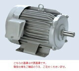 ľʡ ɩŵ ǽʥͥ⡼ SF-PR 2.2KW 2P 200V (SF-PR-2200W-2P) Ĳ 緿