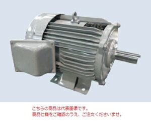 ľʡ ɩŵ ǽʥͥ⡼ SF-PRO 2.2KW 4P 200V (SF-PRO-2200W-4P) Ĳ 緿