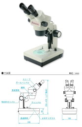 【ポイント10倍】新潟精機 実体顕微鏡 ズーム式 XTS2021 (140003)