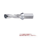 【ポイント10倍】オーエスジー (OSG) ヘッド交換式ドリル PXDZ-190-5D-180.525 (7831071)(4)