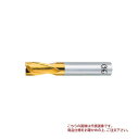 【ポイント5倍】オーエスジー(OSG) TiNコーティング ハイスエンドミル 2刃 キー溝用 EX-TIN-EKD OH1 18 (81578)