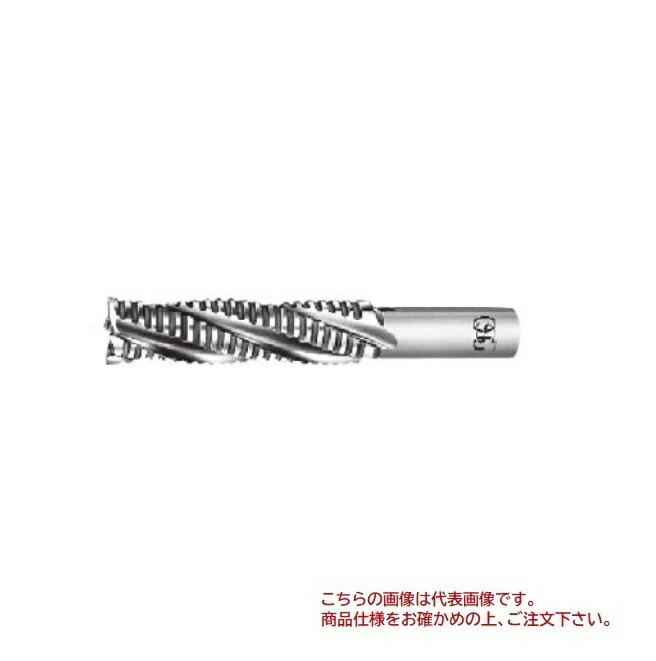 【ポイント10倍】オーエスジー(OSG) ラフアンドフィニッシュエンドミル RFEL 20X180X106X20 (83301)