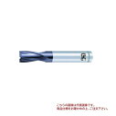 【ポイント5倍】オーエスジー(OSG) Vコーティング XPMハイスエンドミル 2刃 キー溝用 V-XPM-EKD XPM OH1 7 (83414)(4)