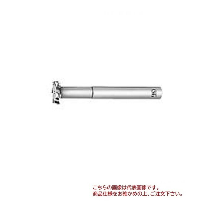 【ポイント5倍】オーエスジー(OSG) Tスロットカッタ RF-TSC 30X5X145X5X16 (83631)