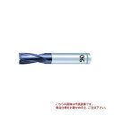 【ポイント5倍】オーエスジー(OSG) Vコーティング XPMハイスエンドミル 2刃 キー溝用 V-XPM-EKD XPM OL1 10 (83780)(4)