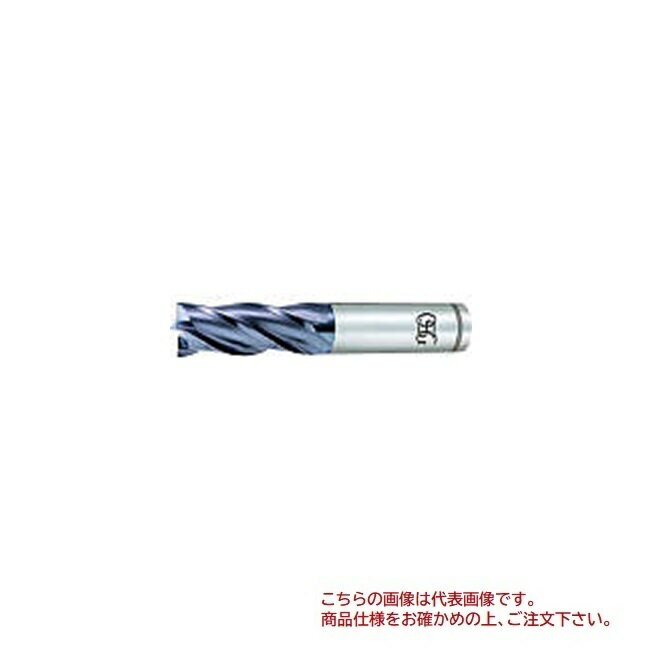 (OSG) Vƥ XPMϥɥߥ 4 V-XPM-EMS 31 (8452310)