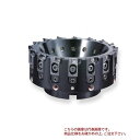 【ポイント5倍】オーエスジー(OSG) アルミ用仕上げカッタ PFAL PFAL04R100M27-12 (7803612)(4)