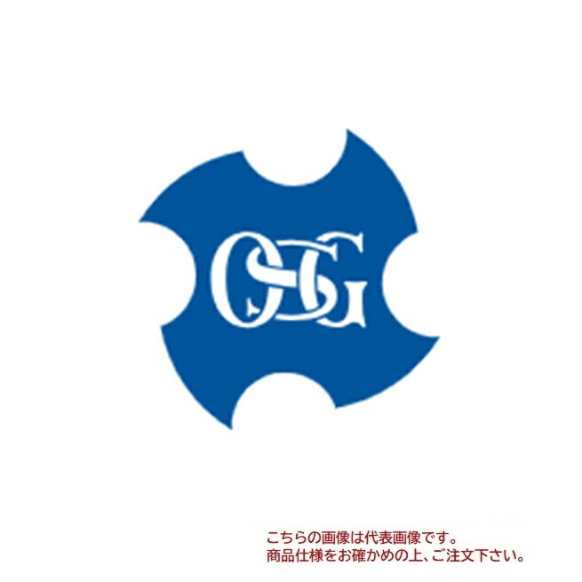 オーエスジー(OSG) 超硬ヘリカルミル 多刃 鋳鉄用 WK-EMS 22 (84892)