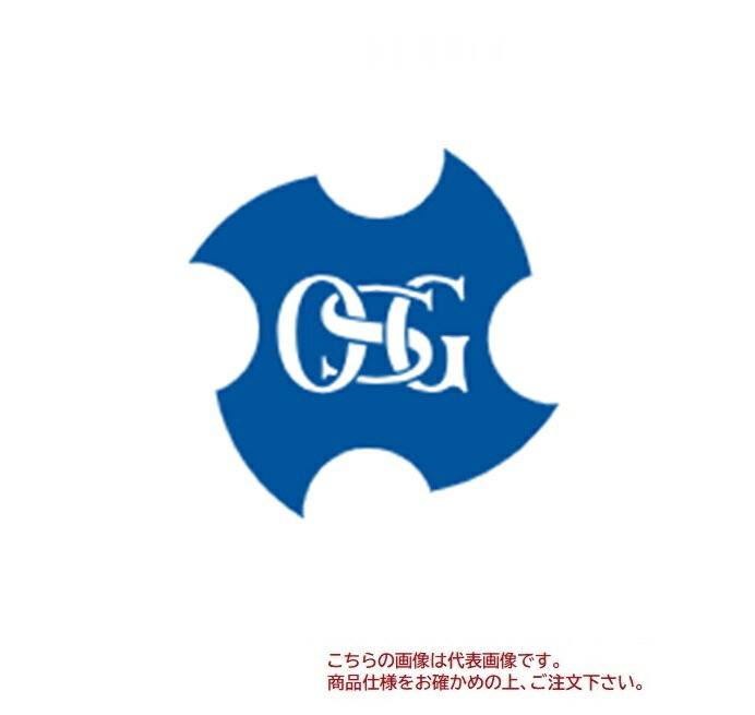 【ポイント5倍】オーエスジー(OSG) 悠遊フィルター SFシリーズ SF-150B (9810057)