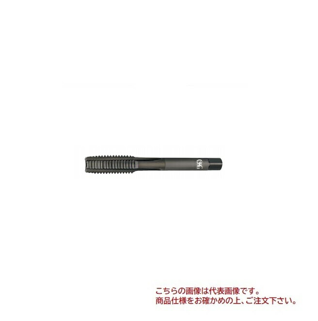 (OSG) ϥɥå ƥ쥹 EX-SUS-HT HSE #2 STD M2.6X0.45 (22008)