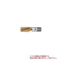 オーエスジー(OSG) TiNコーティング 管用テーパータップ インターラップ形 TIN-LT-S-IRT HSE 2 PT1/4 - 19 X 120 (8309409)(4)