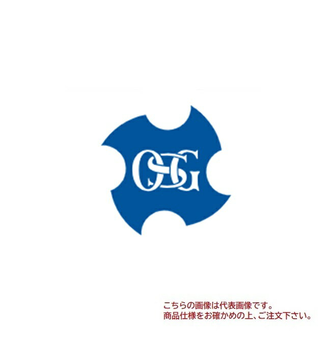 ڥݥ5ܡۥ(OSG) ʿԥå EX-SPT HSE 2+0.04 PF1/4-19 (23772)