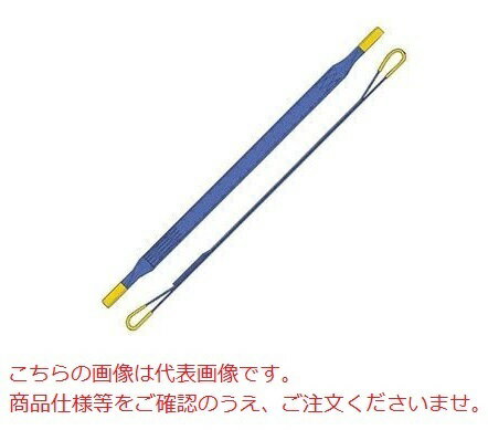 《仕様》●両端アイ形●スリング幅：100mm●長さ：8.0m《特長》●白芯が見えれば注意信号。早めにお取替え下さい。■商品詳細■以下はメーカーのカタログを抜粋しておりますので、ご参照下さいませ。