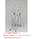 【直送品】 PiCa (ピカ) 階段両手すり 天場二方 DXR-TE1 《DXR型用オプション》(4)