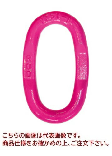 【ポイント10倍】【直送品】 ルッドスパンセットジャパン Bリンク エンドリンク専用 B-LINK5.0T M30 PP-VIP13-B