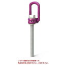 【直送品】 ルッドスパンセットジャパン ロードリングプラス ロングボルトセット VLBG-PLUS-M30L(4)