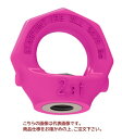 【ポイント10倍】【直送品】 ルッドスパンセットジャパン アイナットスター VRM-M8(4)