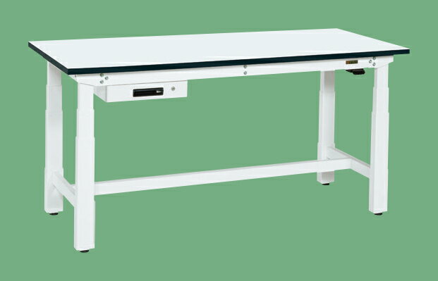 【ポイント10倍】【直送品】 サカエ