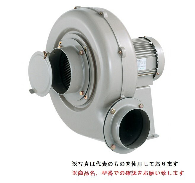 【ポイント5倍】【直送品】 SDG (昭和電機) 電動送風機 コンパクトシリーズ(Eタイプ) EC-63T-R313 (ターボ)