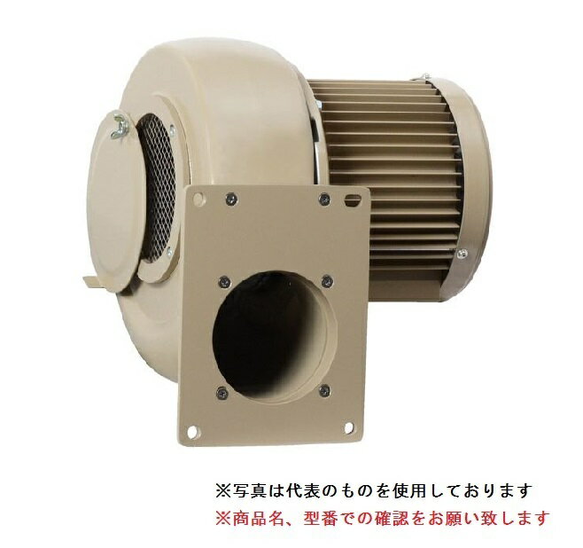 【ポイント5倍】【直送品】 SDG (昭和電機) 電動送風機 マルチシリーズ(FSタイプ) FS-H15-R313 【大型】