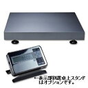 【ポイント10倍】新光電子 高精度電子台はかり FJ-300K