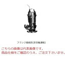【ポイント5倍】【直送品】 新明和工業 設備用水中ポンプ CVS80-F80-3.7kw-50Hz (CVS80-F80-37-5) (渦流タイプ)(高効率/高揚程) 【大型】(4)