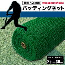 【ポイント10倍】【直送品】 シンセイ バッティングネット 37.5mm 2m×30m 197641 【大型】