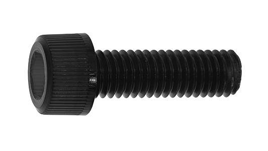 SUNCO オーラム　CAP 【1個入】 オーラムCAP 6x10