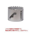 【ポイント10倍】イチネンTASCO スピードスロット超硬チップホ-ルソ- 替刃51mm TA653RT-51