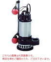 【ポイント10倍】【直送品】 寺田ポンプ 水中ポンプ (新素材製/ステンレス製) CXA-750-50Hz(自動) (CXA-750-50) (三相200V 50Hz)(4)