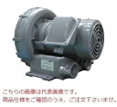 【ポイント5倍】【直送品】 テラル リングブロワ VFC508Z (三相200V・耐水型) 【大型】