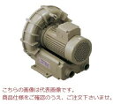 【ポイント5倍】【直送品】 テラル リングブロワ VFZ201AF (三相200V・標準形(相フランジ用))