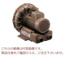 【ポイント10倍】【直送品】 テラル リングブロワ VFZ301AN (三相200V・低騒音タイプ)