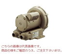 【直送品】 テラル リングブロワ VFZ301PN (単相100V・標準形)