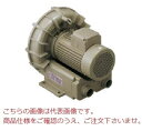 【直送品】 テラル リングブロワ VFZ901A (三相200V・標準形) 【大型】