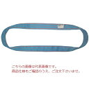 【ポイント10倍】テザック ブルースリング 4N (エンドレスタイプ) 100mm×2.0m