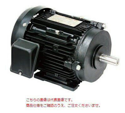 【直送品】 東芝 （TOSHIBA） プレミアムゴールドモートル TKKH3 FBK21E 4P 22KW 400V (fbk21e4p22kv4) 《脚取付 屋内》