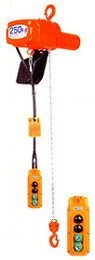 【直送品】 象印 懸垂式小型電気チェーンブロック αSW-016 揚程3m (ASW-K1630) (160kg 二速選択型)